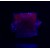 Fluorite fluorescent Berbes M05004